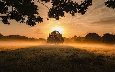 Four Oaks Legal Services Acquired by 43Legal to Expand Legal Offering Across the Midlands